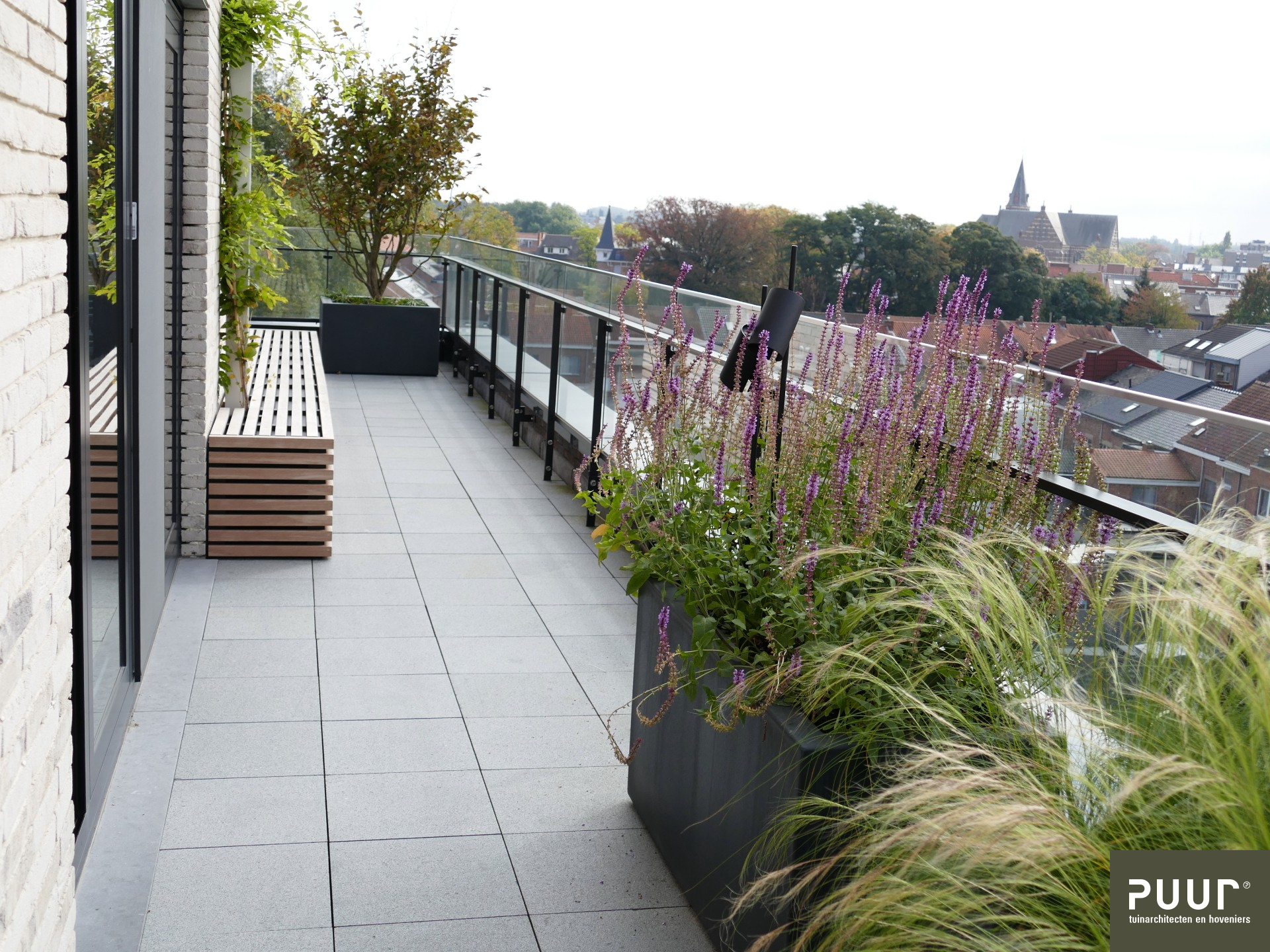 Strakke daktuin | tuin op grote hoogte - Puur Groen