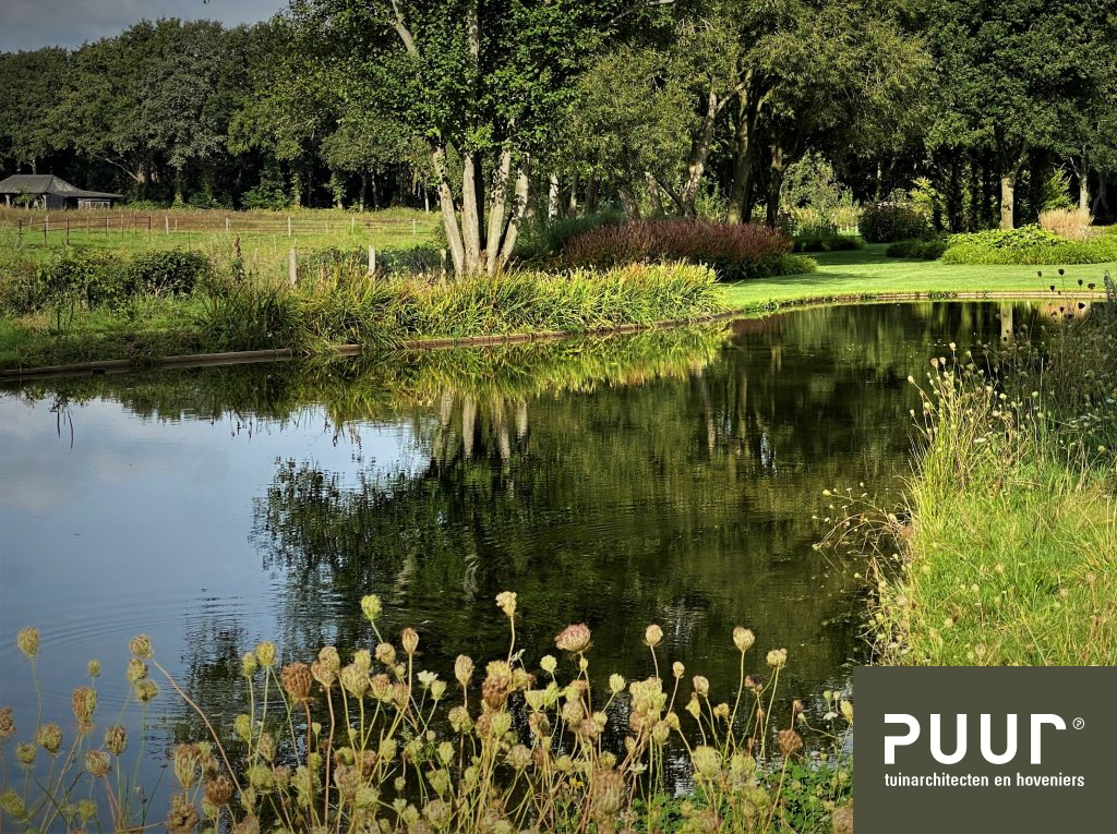 Waarom een tuinarchitect inschakelen? 3 Vijver aanleggen in landgoed_PUUR Groen